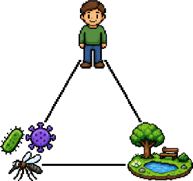 epidemic triangle